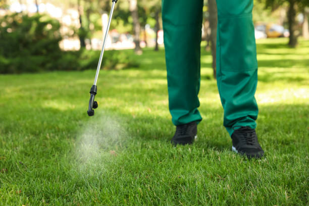 Best Insect Control  in Avenal, CA