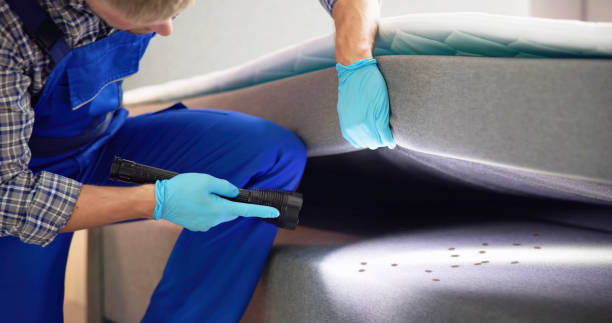 Pest Control Cost in Avenal, CA