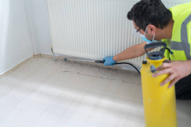 Best Pest Control Cost  in Avenal, CA